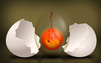 EGG DONATION A SPECIAL GIFT FOR INFERTILE COUPLES